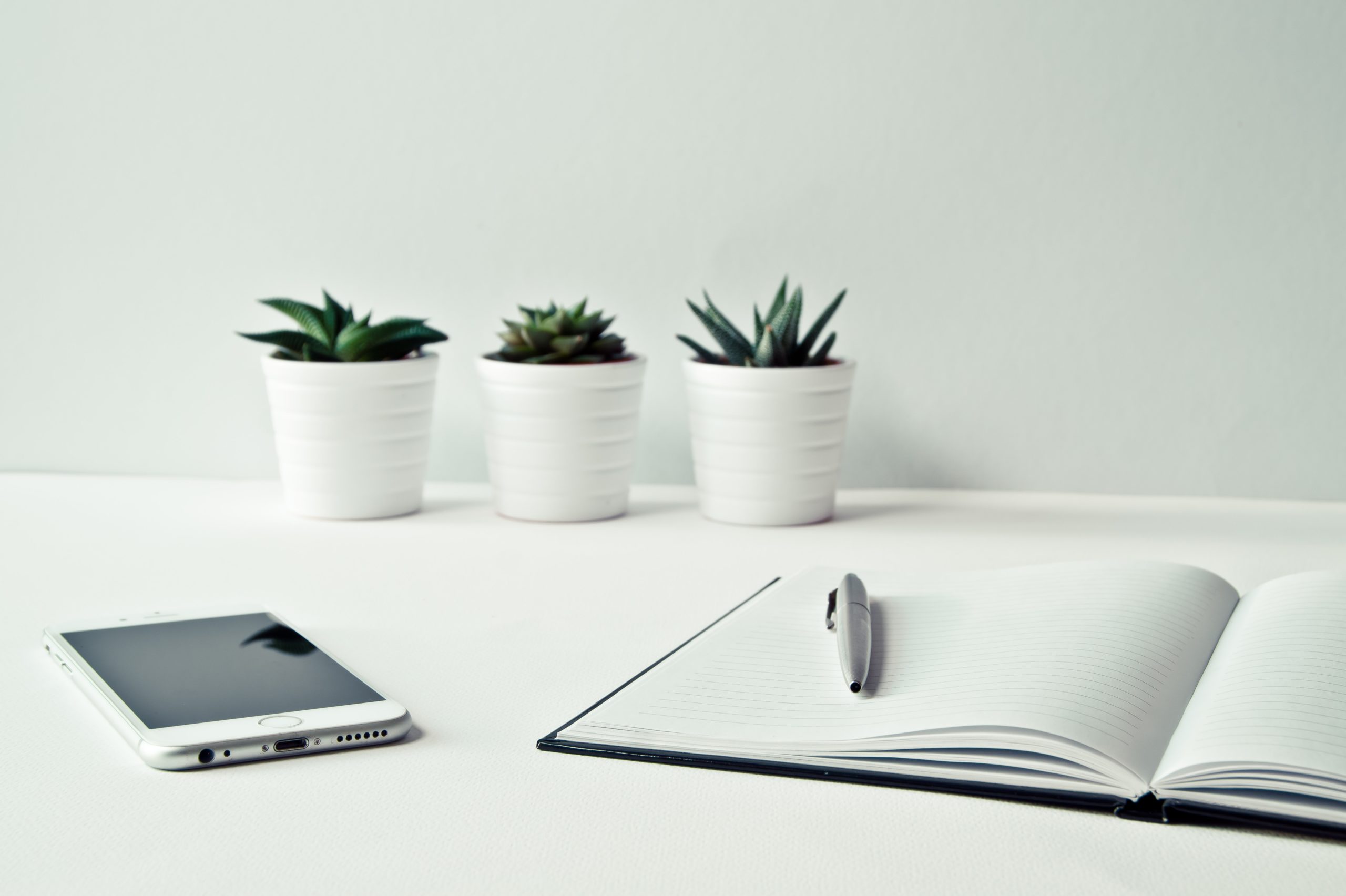 social media manager freelance a venezia